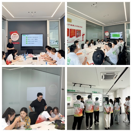 Sailing Forward: Supu Electronics 2025 Graduate Training Program Concludes Successfully