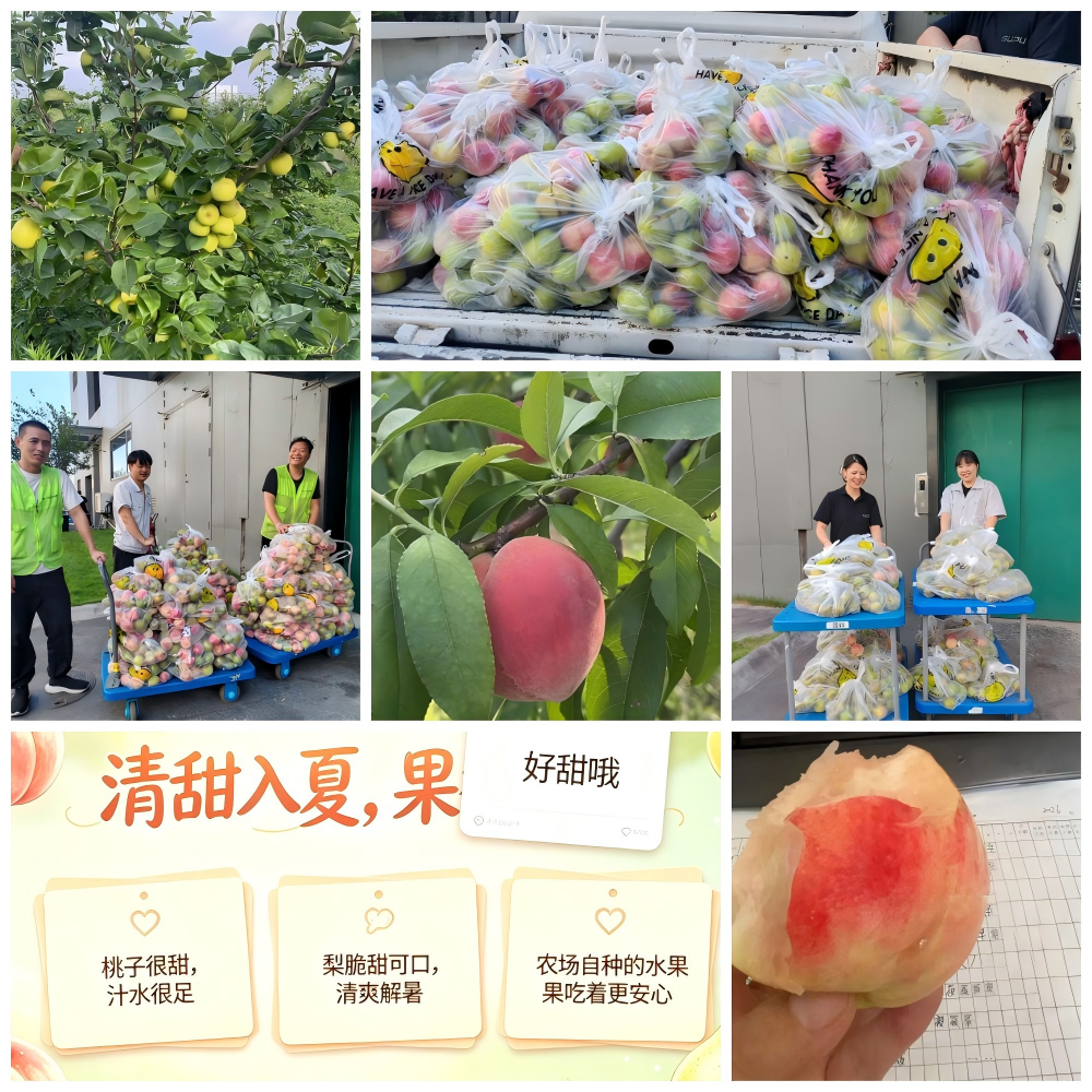 果园鲜滋味